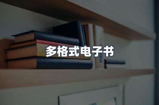 多格式电子书